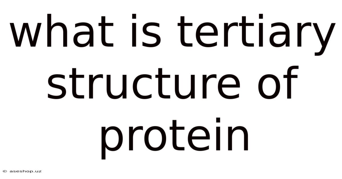 What Is Tertiary Structure Of Protein