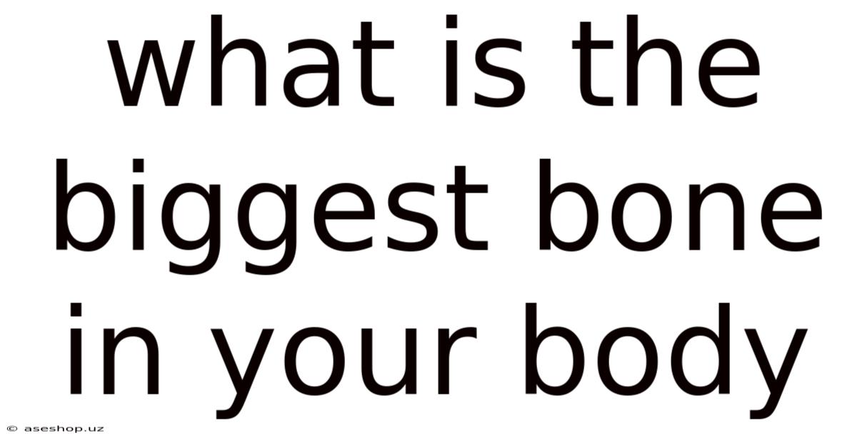 What Is The Biggest Bone In Your Body