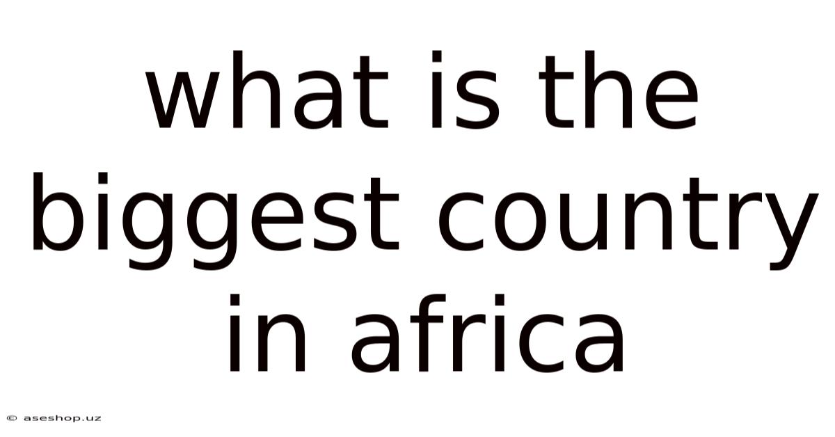 What Is The Biggest Country In Africa
