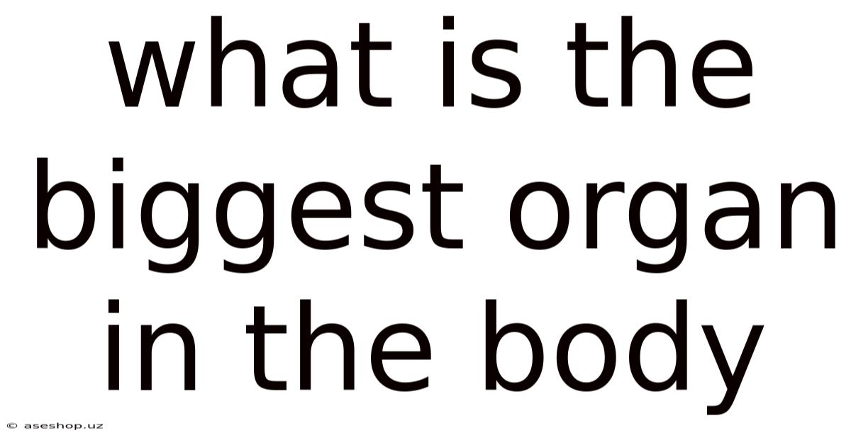 What Is The Biggest Organ In The Body