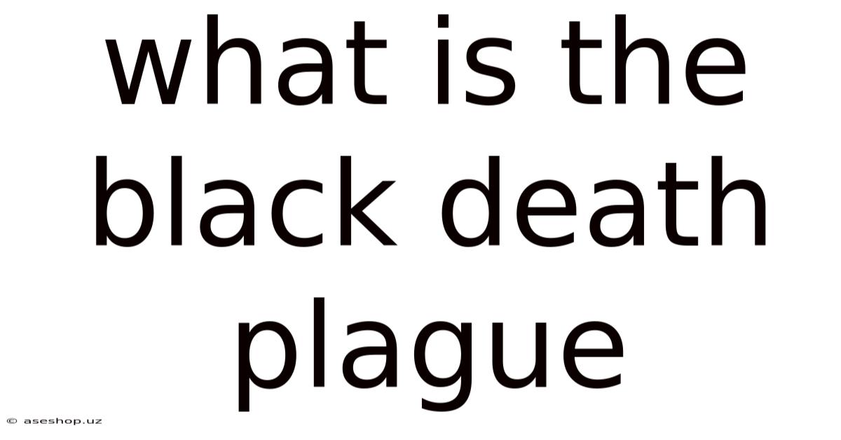 What Is The Black Death Plague