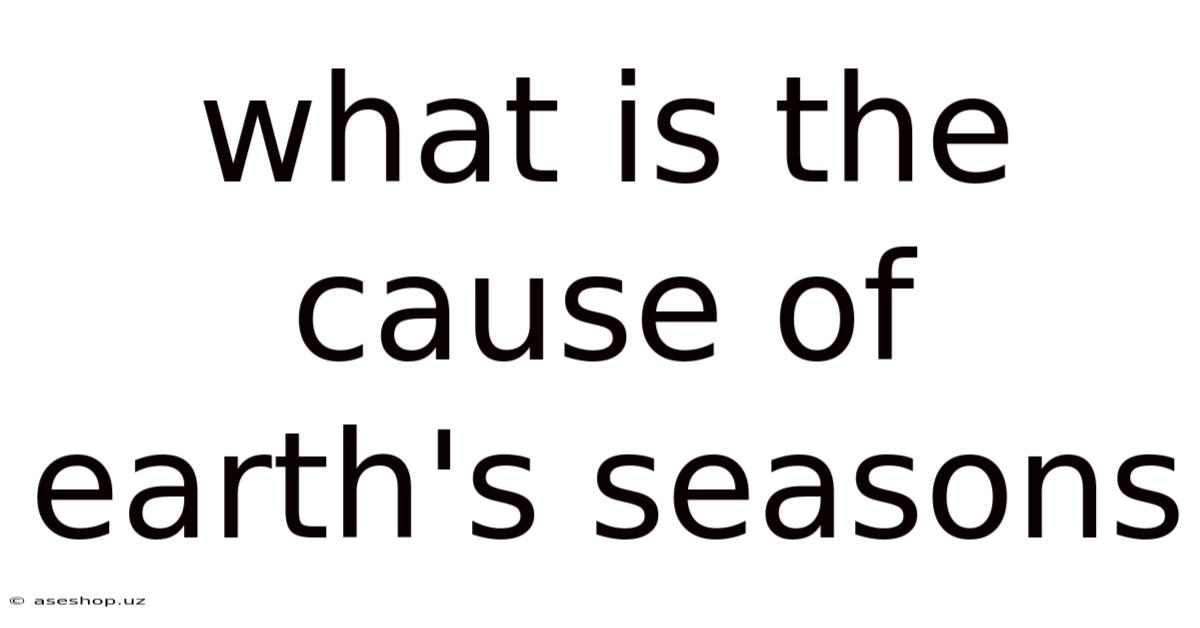 What Is The Cause Of Earth's Seasons