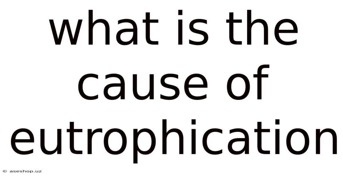 What Is The Cause Of Eutrophication