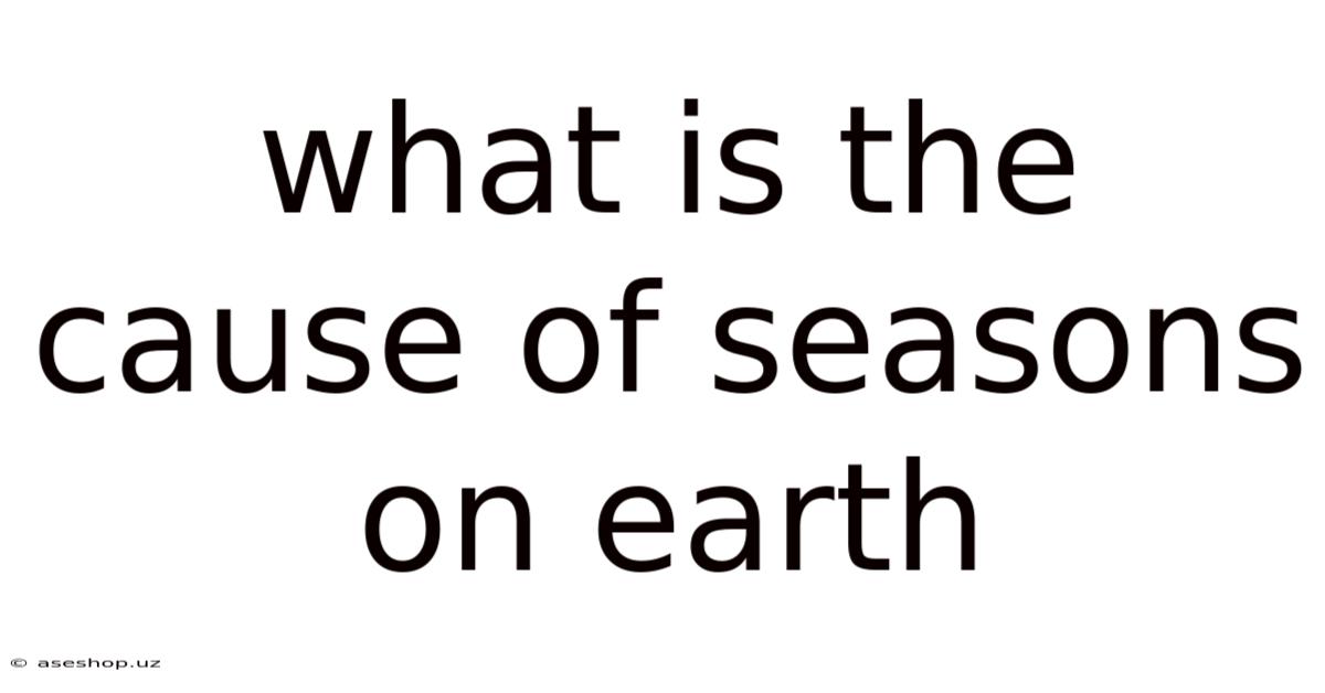 What Is The Cause Of Seasons On Earth