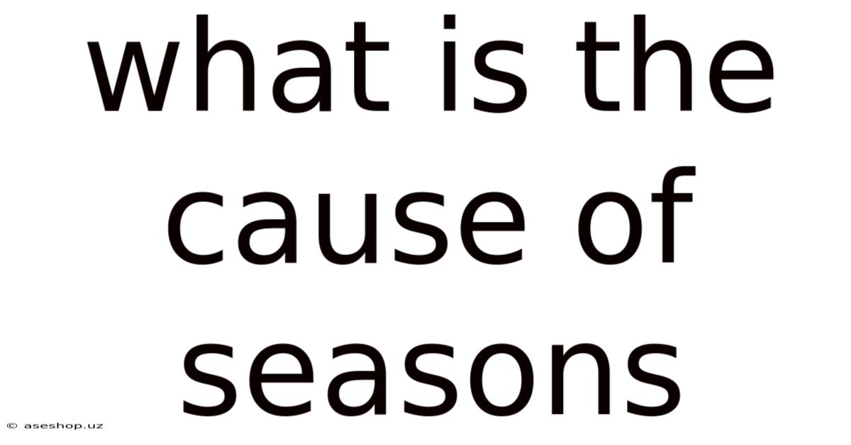 What Is The Cause Of Seasons