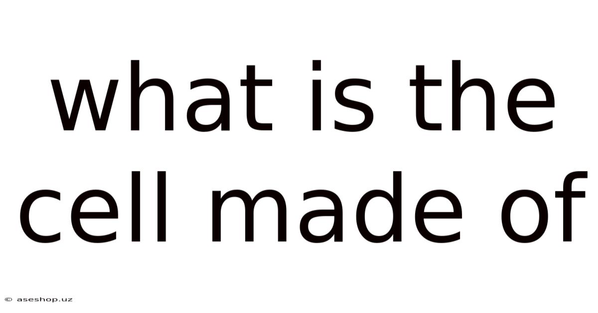 What Is The Cell Made Of