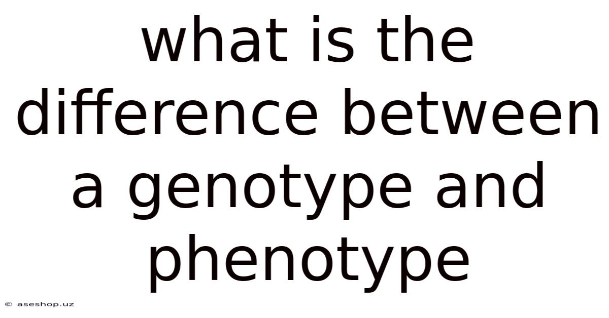 What Is The Difference Between A Genotype And Phenotype