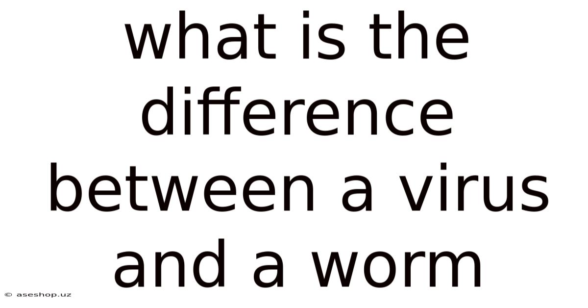 What Is The Difference Between A Virus And A Worm