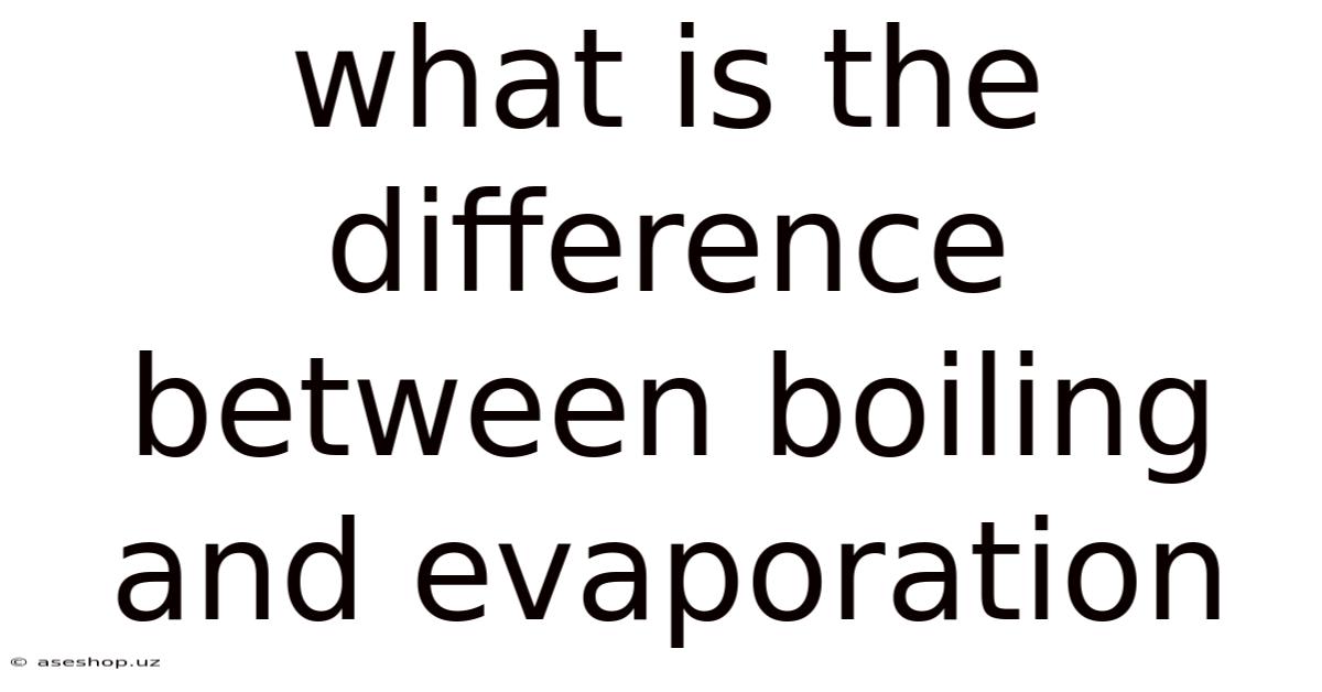 What Is The Difference Between Boiling And Evaporation