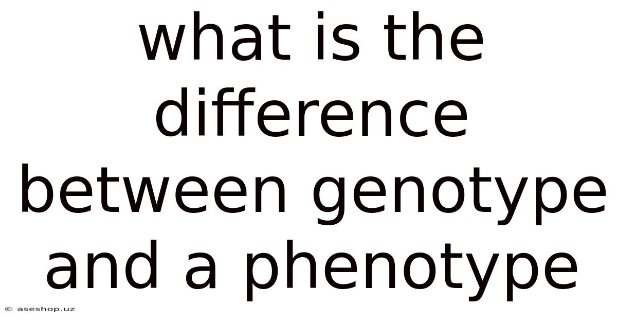 What Is The Difference Between Genotype And A Phenotype