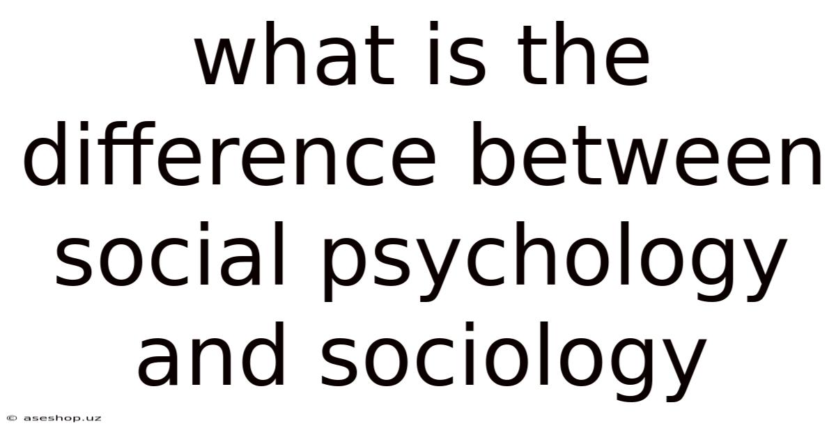 What Is The Difference Between Social Psychology And Sociology