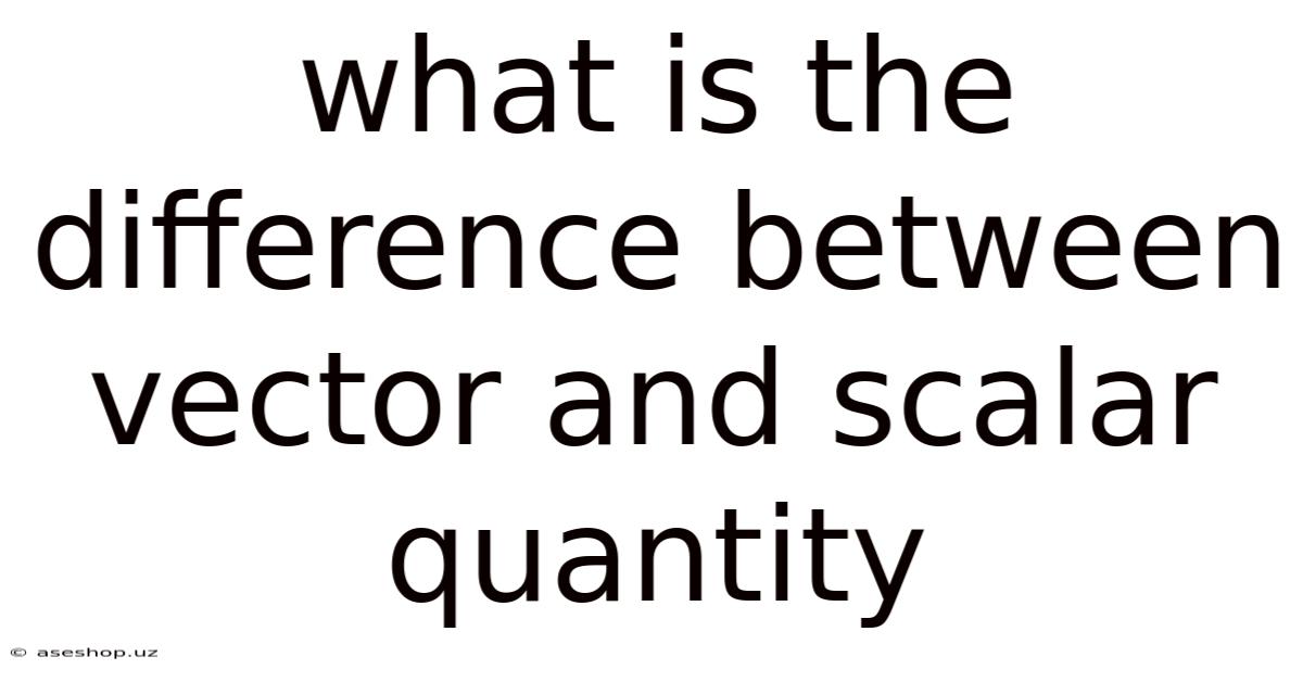 What Is The Difference Between Vector And Scalar Quantity