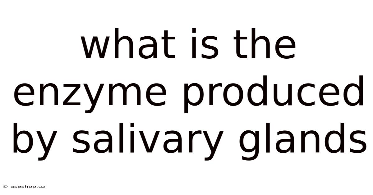 What Is The Enzyme Produced By Salivary Glands