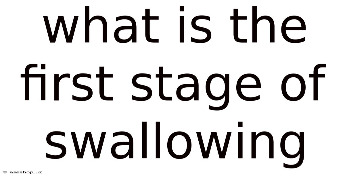 What Is The First Stage Of Swallowing