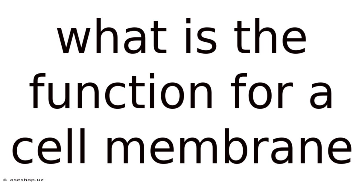 What Is The Function For A Cell Membrane