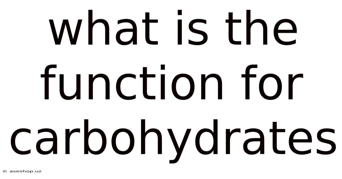 What Is The Function For Carbohydrates