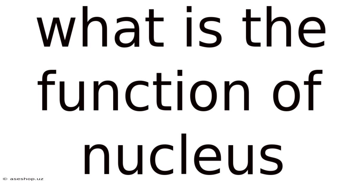 What Is The Function Of Nucleus