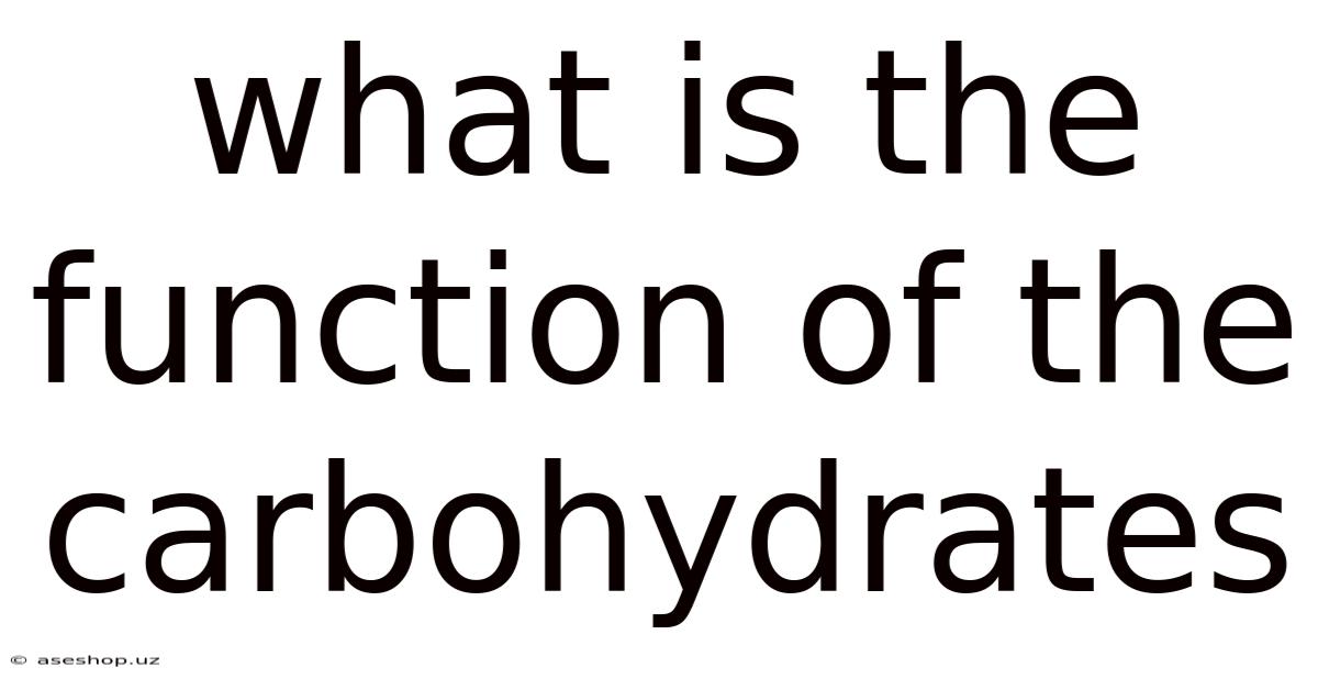 What Is The Function Of The Carbohydrates