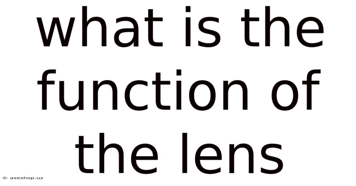 What Is The Function Of The Lens