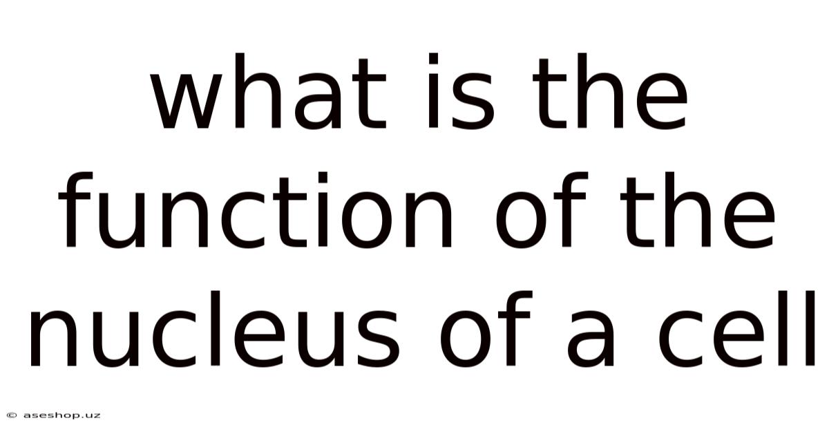 What Is The Function Of The Nucleus Of A Cell