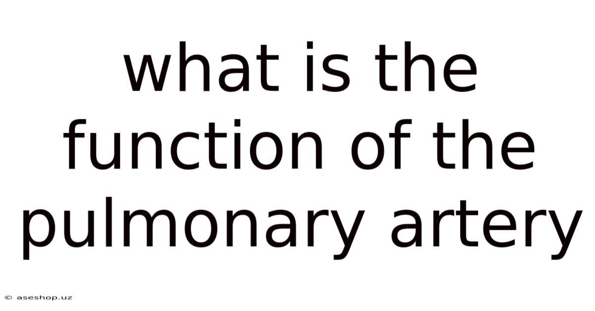 What Is The Function Of The Pulmonary Artery