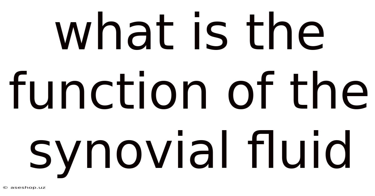 What Is The Function Of The Synovial Fluid