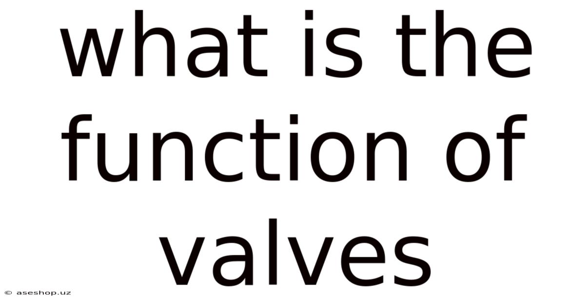 What Is The Function Of Valves