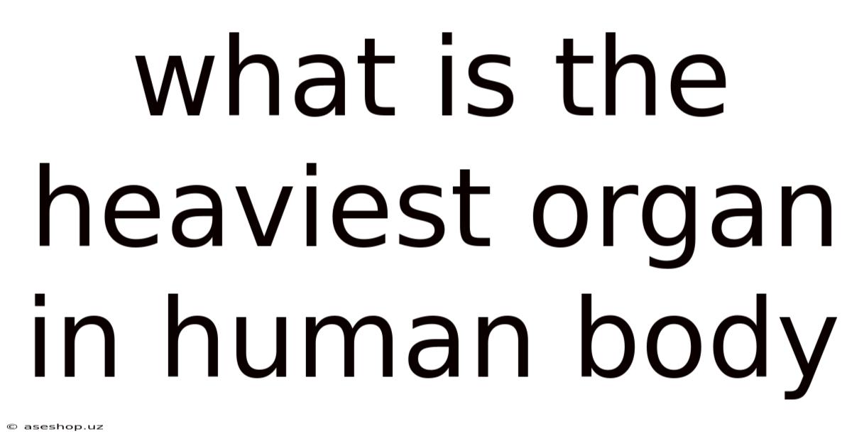 What Is The Heaviest Organ In Human Body