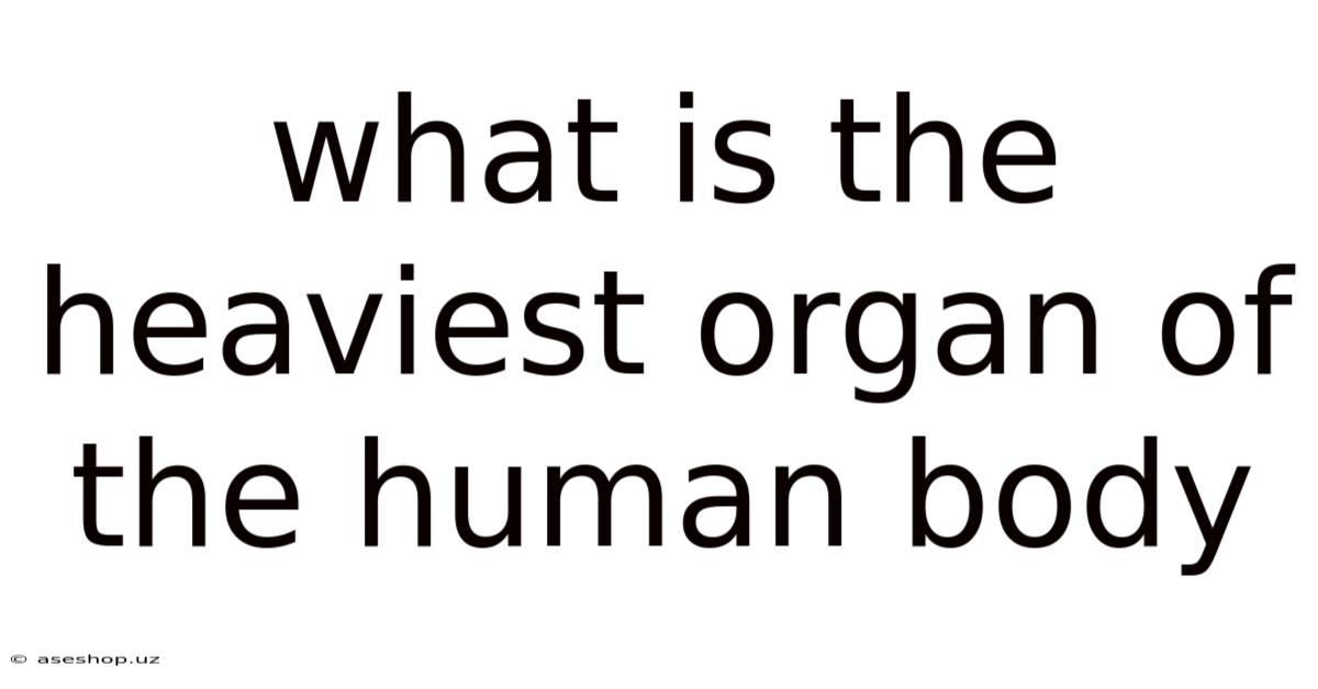 What Is The Heaviest Organ Of The Human Body