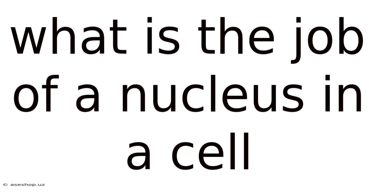 What Is The Job Of A Nucleus In A Cell