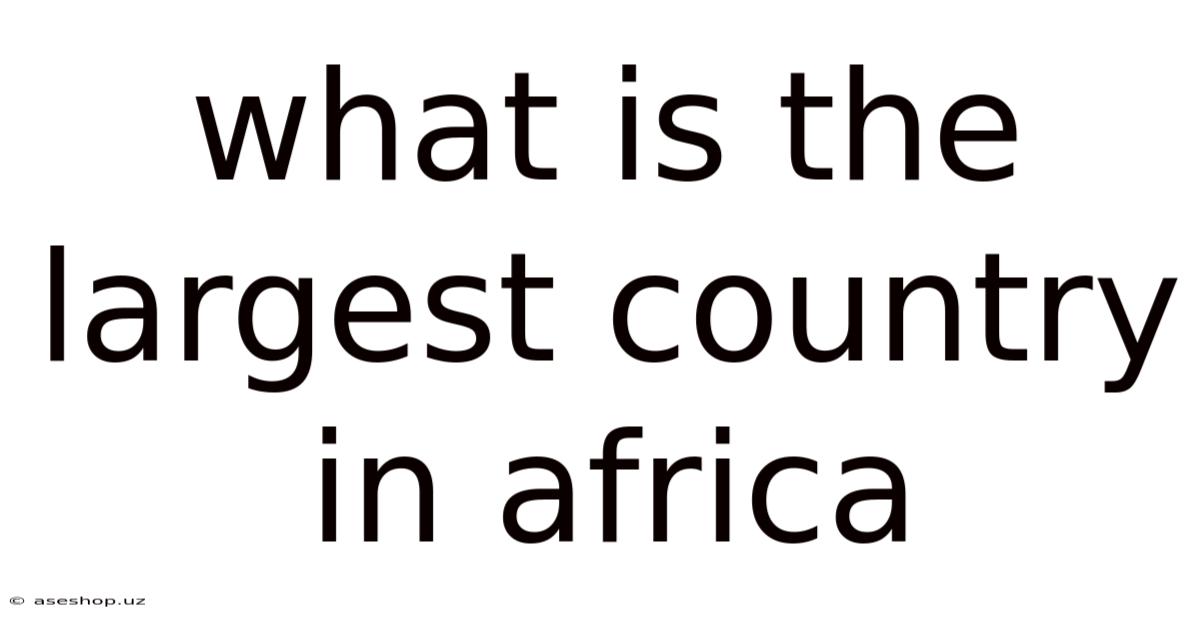 What Is The Largest Country In Africa