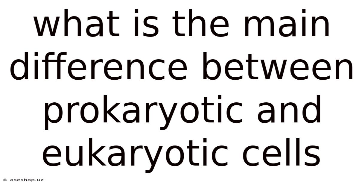 What Is The Main Difference Between Prokaryotic And Eukaryotic Cells