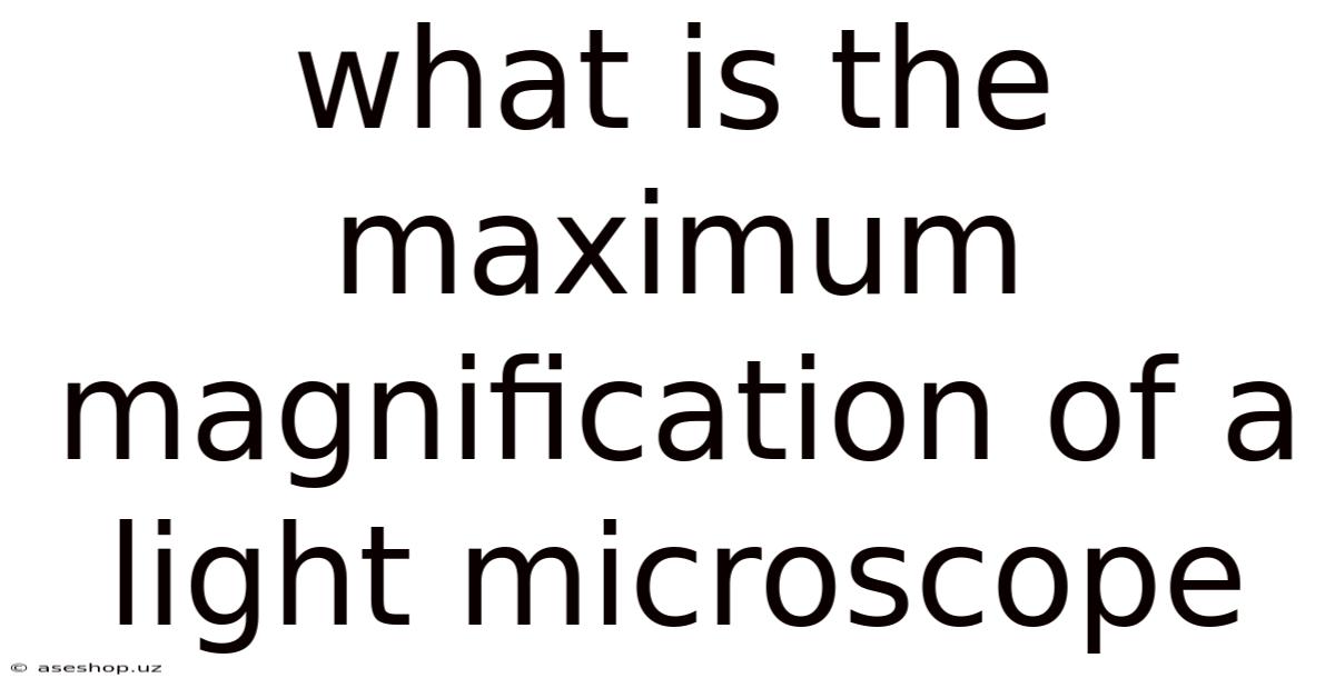 What Is The Maximum Magnification Of A Light Microscope
