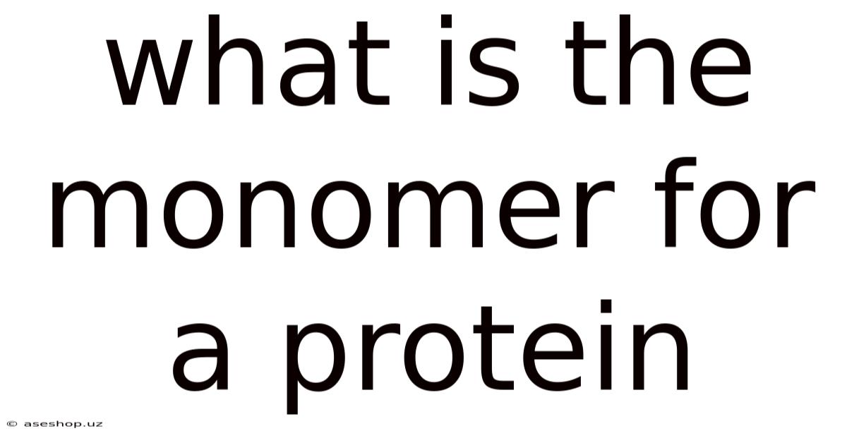 What Is The Monomer For A Protein