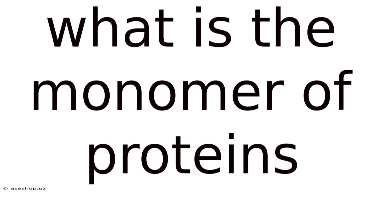 What Is The Monomer Of Proteins