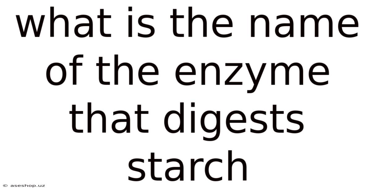 What Is The Name Of The Enzyme That Digests Starch