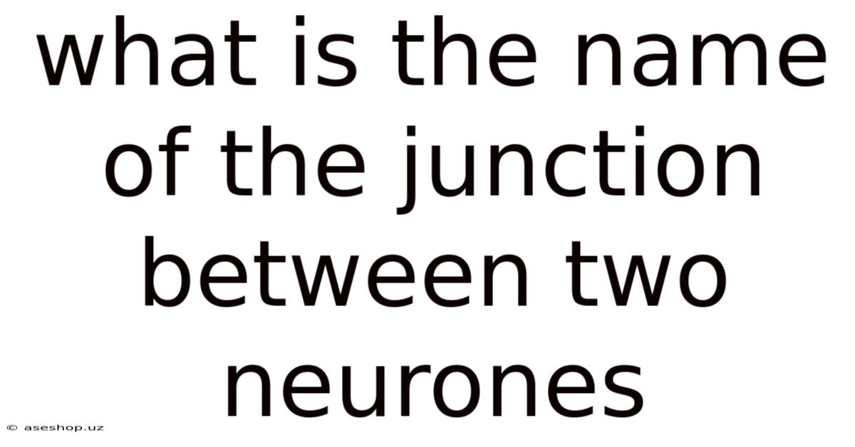 What Is The Name Of The Junction Between Two Neurones