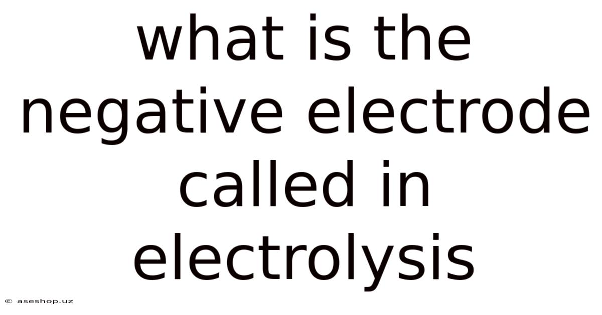 What Is The Negative Electrode Called In Electrolysis
