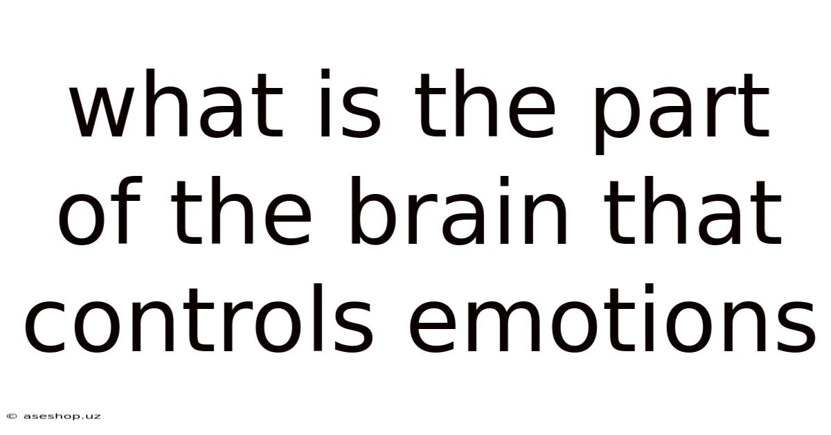 What Is The Part Of The Brain That Controls Emotions