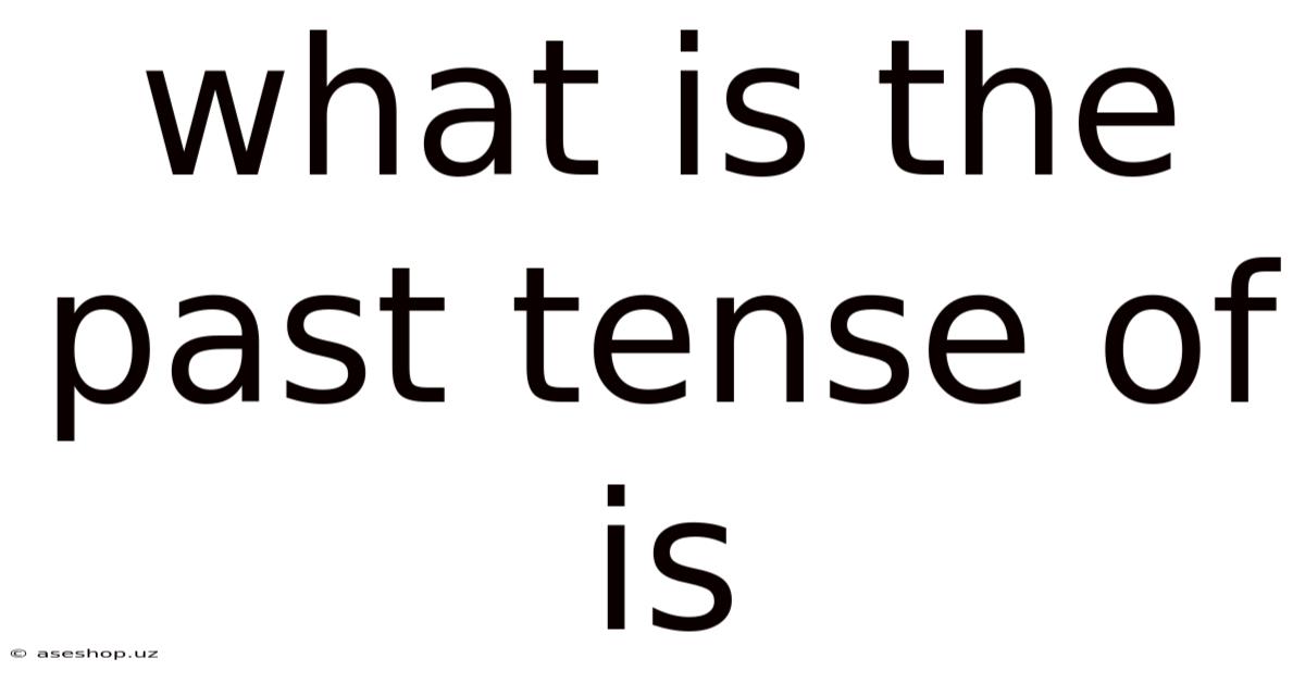 What Is The Past Tense Of Is