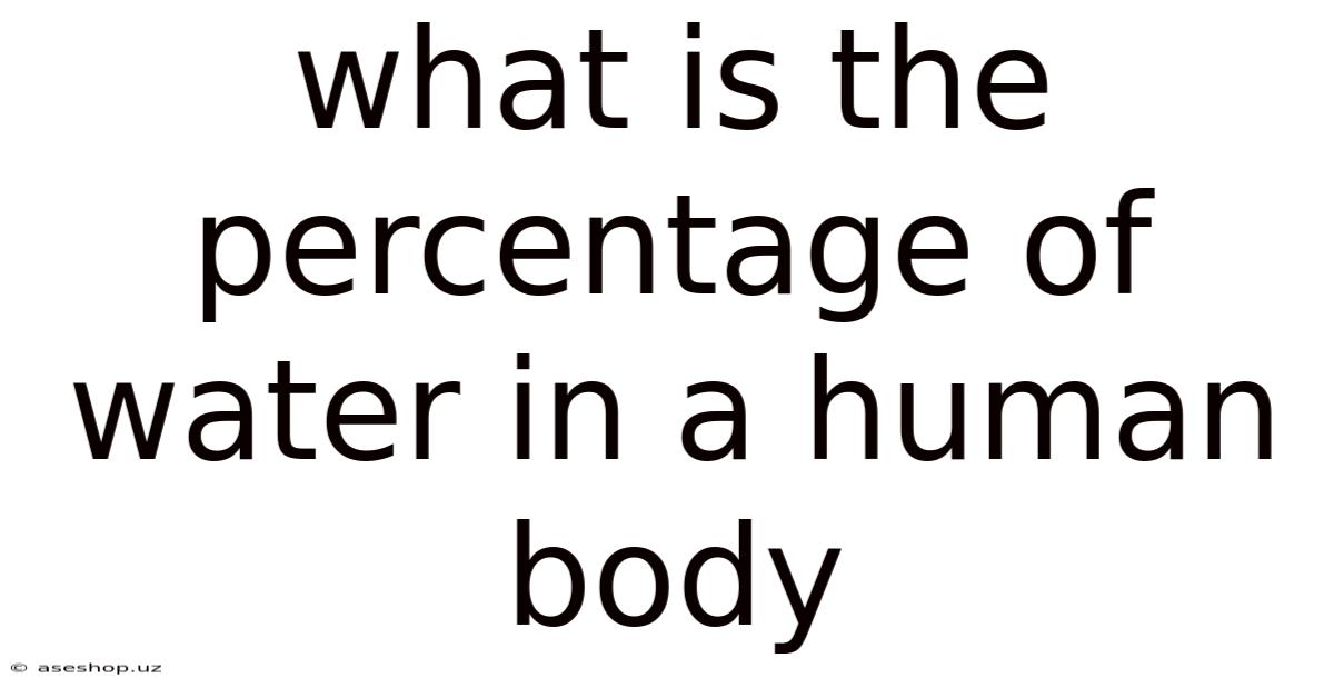 What Is The Percentage Of Water In A Human Body