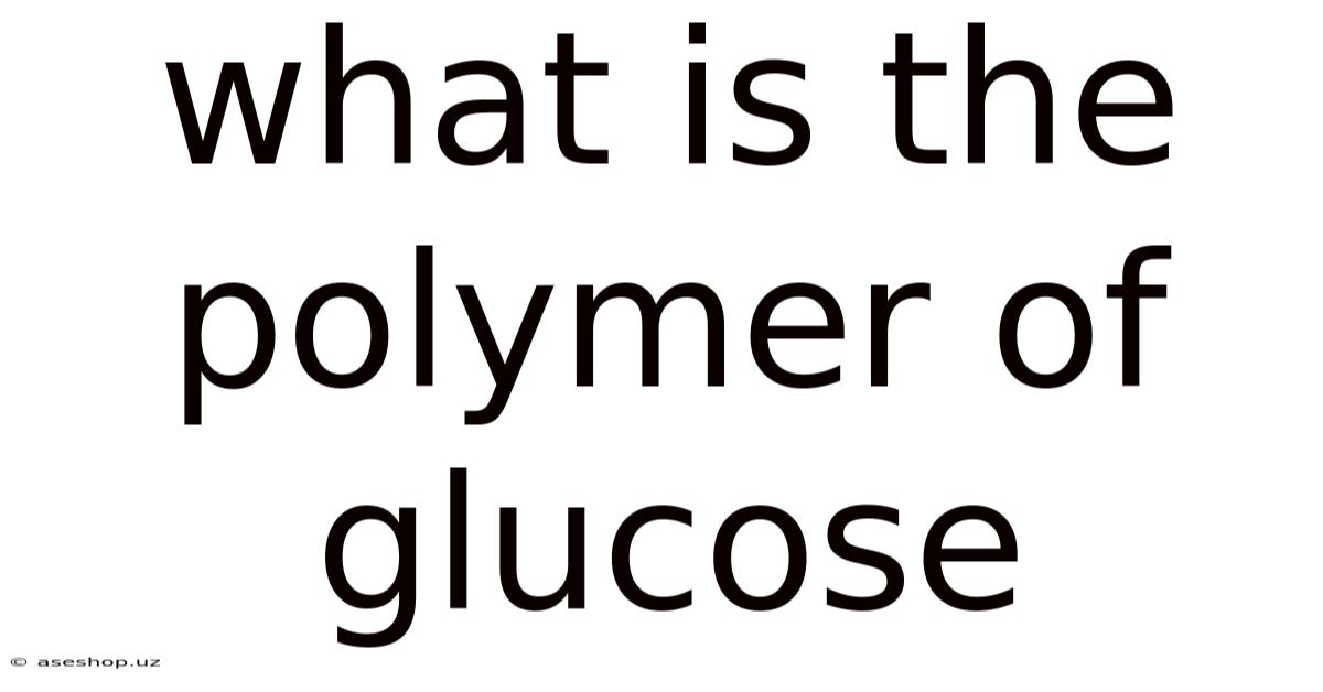 What Is The Polymer Of Glucose