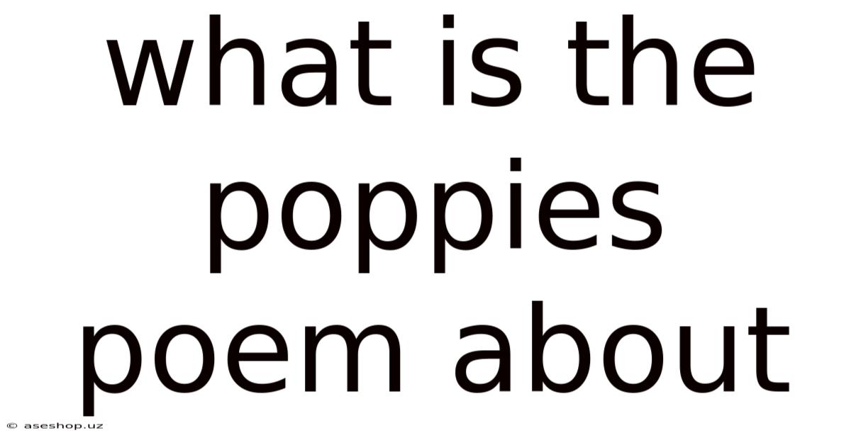 What Is The Poppies Poem About