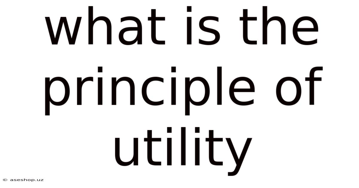 What Is The Principle Of Utility