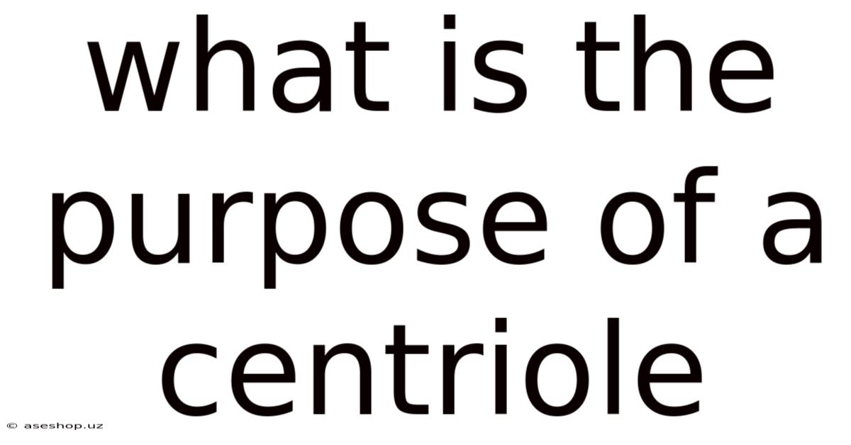 What Is The Purpose Of A Centriole