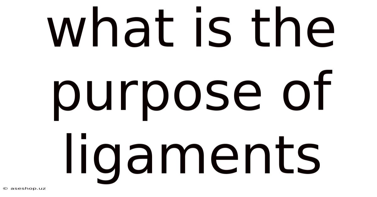 What Is The Purpose Of Ligaments