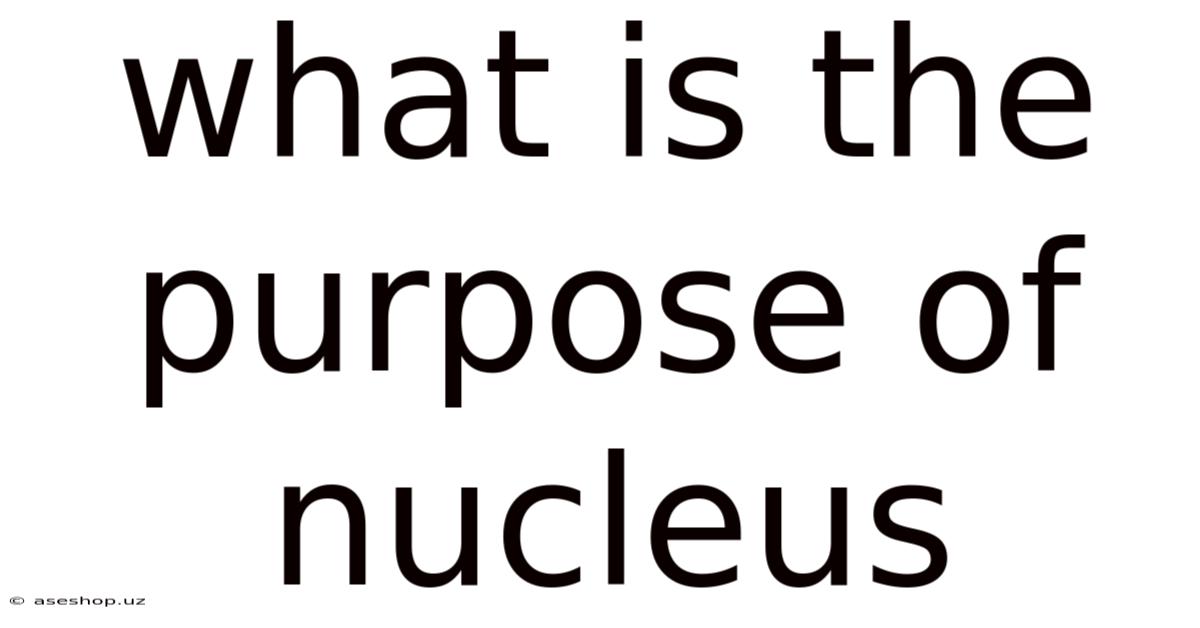 What Is The Purpose Of Nucleus