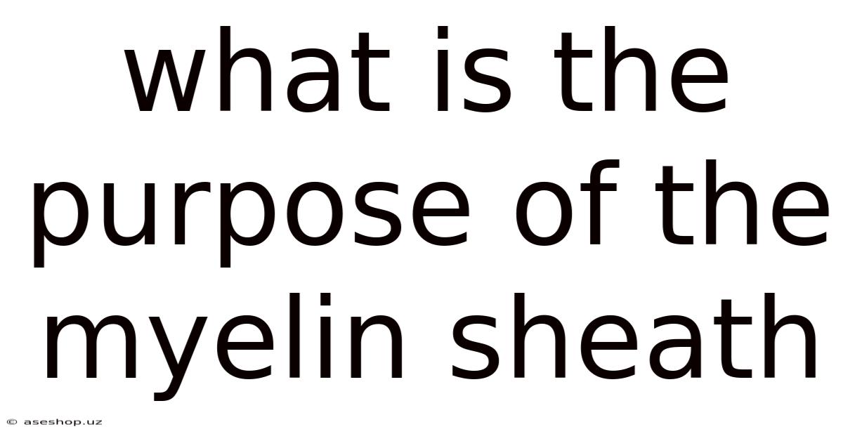 What Is The Purpose Of The Myelin Sheath