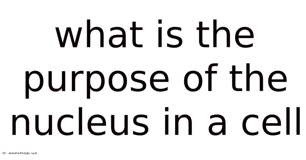 What Is The Purpose Of The Nucleus In A Cell