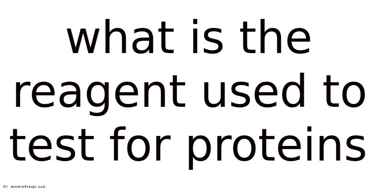 What Is The Reagent Used To Test For Proteins